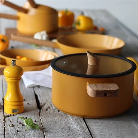 Faitout Ector Induction Aluminium RevĂȘtu 24 Cm Jaune â Image 4