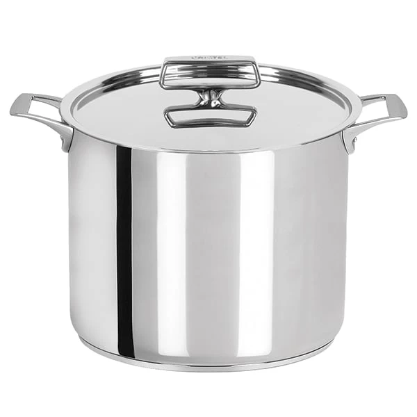 Marmite Tout Inox Et Couvercle Castel'Pro 24 Cm