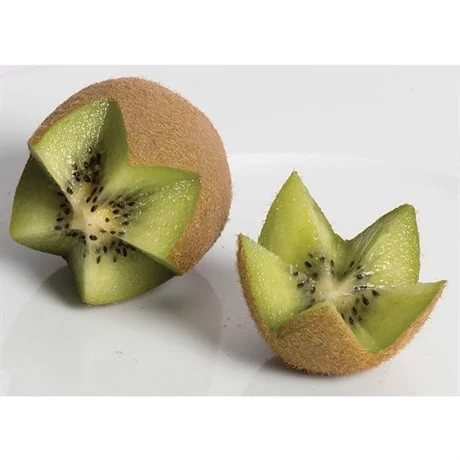 Coupe étoiles – Image 5