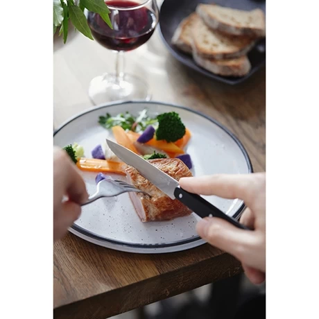 Opinel Couteau De Table N°125 Pro Noir – Image 3