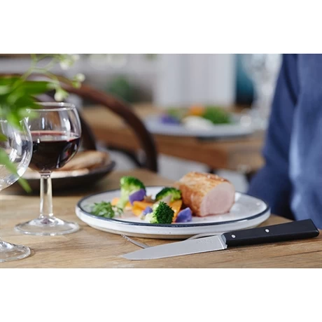 Opinel Couteau De Table N°125 Pro Noir – Image 4