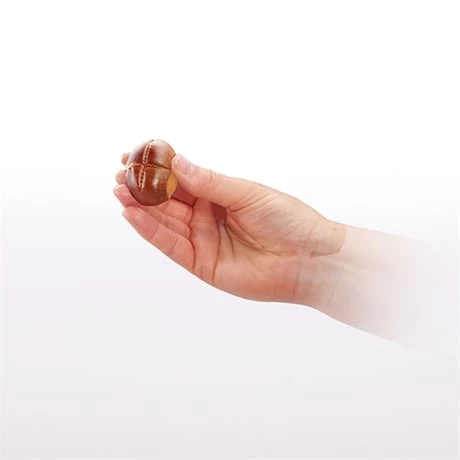 Coupe Chataîgnes Presto – Image 3